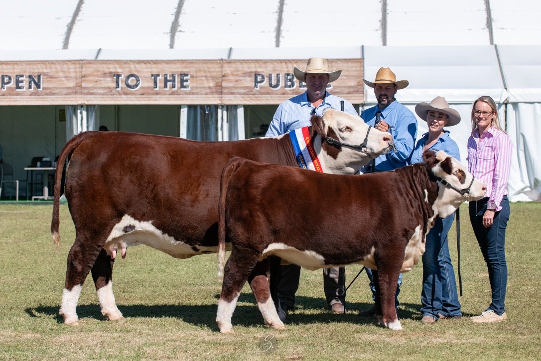 Llandillo Aster S056 Grand Champion Sydney Royal 2024 with Lee White, Andrew Quirk and Claire White